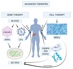 Hemophilia Gene Therapy: A New Hope for Patients