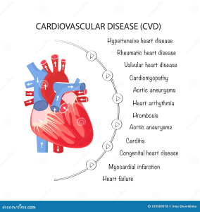 Cardiovascular Disease: Key Insights for Heart Health
