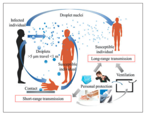 Airborne Disease Research: The Legacy of William Firth Wells