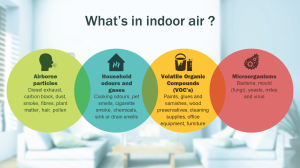 Indoor Air Quality: How It Affects Your Health