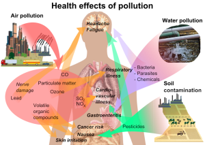 Chemicals and Environmental Health: Ensuring Safer Products