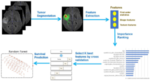 AI Brain Cancer Prediction: Improving Outcomes for Children